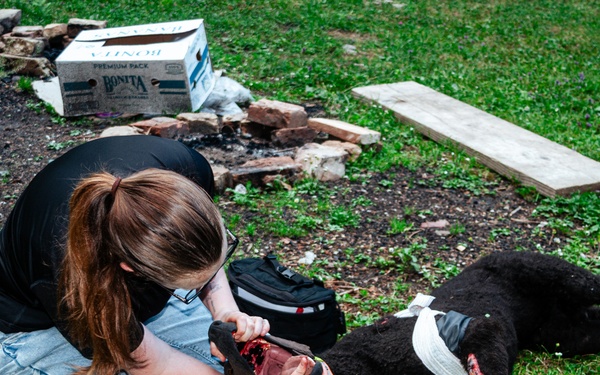 K9 Tactical Emergency Casualty Care Training Strengthens U.S.-Bosnia Partnership