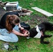 K9 Tactical Emergency Casualty Care Training Strengthens U.S.-Bosnia Partnership