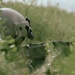 1st Air Cavalry Brigade Soldiers conduct Grounded Gunnery