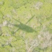 U.S. Army Cadets fly with the 1st Air Cavalry Brigade