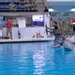 Competitors jump into Combat Water Survival Test - 2025 National Best Warrior