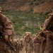 Alpha Company 8K Hike