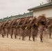 Alpha Company 8K Hike