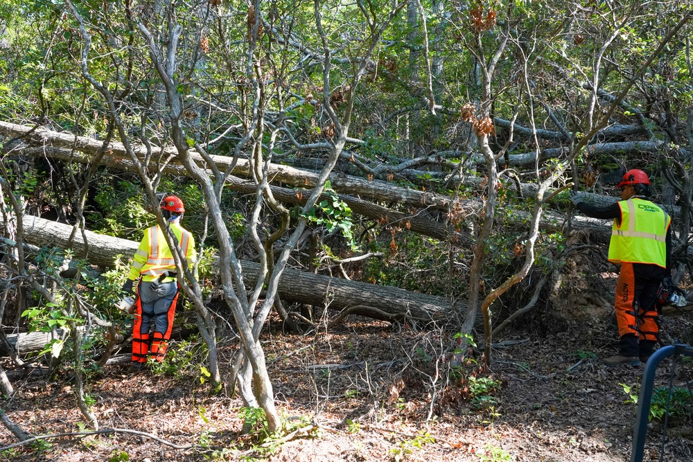 Private Property Debris Removal continues in McDowell County, North Carolina
