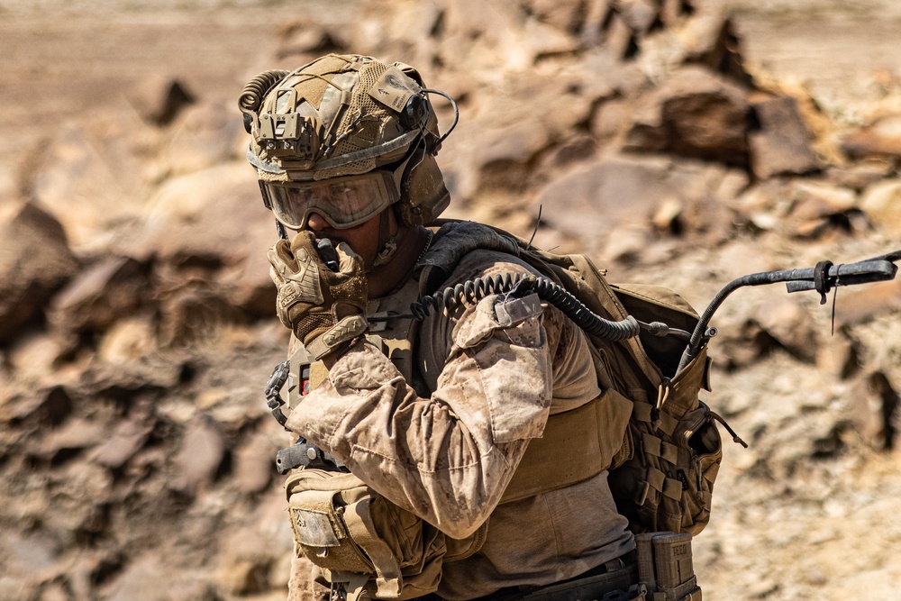 SLTE 4-25: Live-Fire Platoon Attack