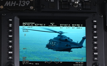 Grey Wolves roam Alabama skies