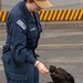 Makin Island Dog Handling