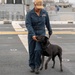 Makin Island Dog Handling