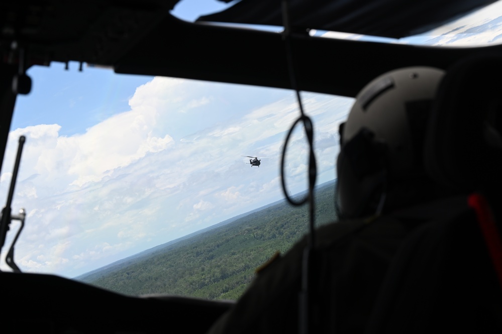 Grey Wolves roam Alabama skies