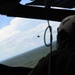 Grey Wolves roam Alabama skies