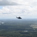 Grey Wolves roam Alabama skies