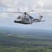 Grey Wolves roam Alabama skies