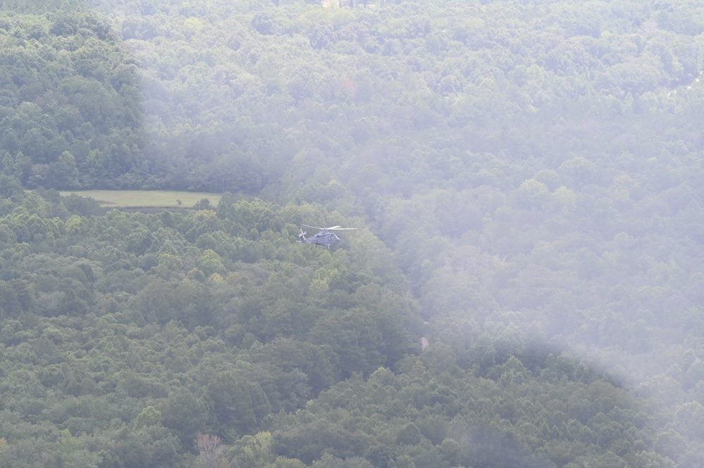 Grey Wolves roam Alabama skies