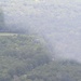 Grey Wolves roam Alabama skies