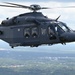 Grey Wolves roam Alabama skies