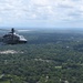 Grey Wolves roam Alabama skies