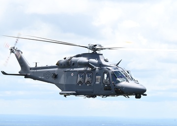 Grey Wolves roam Alabama skies