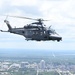 Grey Wolves roam Alabama skies