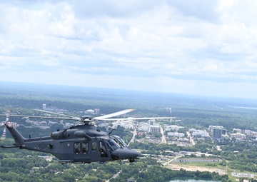 Grey Wolves roam Alabama skies