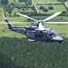 Grey Wolves roam Alabama skies