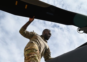Grey Wolves roam Alabama skies