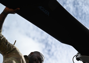 Grey Wolves roam Alabama skies