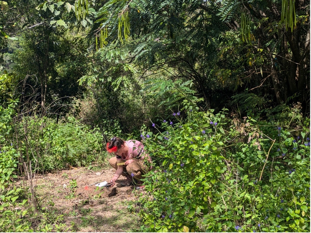 Defense POW/MIA Accounting Agency Partner Investigates possible WWII Era Crash Sites in the Republic of the Philippines