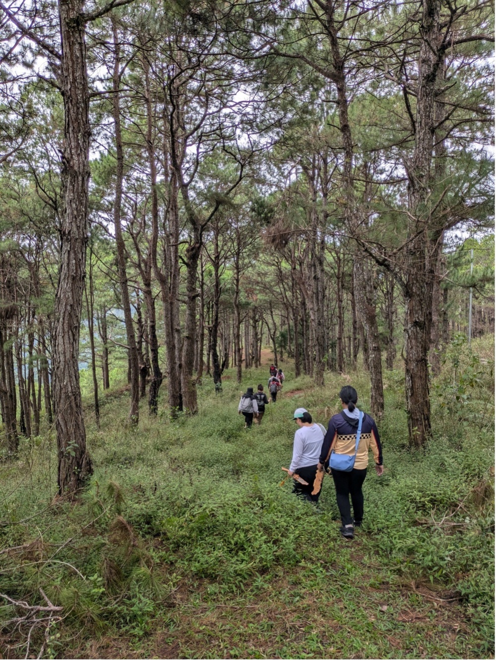 Defense POW/MIA Accounting Agency Partner Investigates possible WWII Era Crash Sites in the Republic of the Philippines