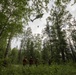 Alaska Army National Guard Dustoff crews conduct hoist training
