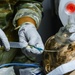 Pennsylvania Army National Guard medical Soldiers participate in mass casualty training