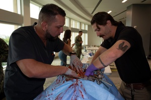 The AMEDD Effect Podcast | Episode 8: Medical Corps: Pediatric Intensivist Feat. MAJ Katie Neumayer