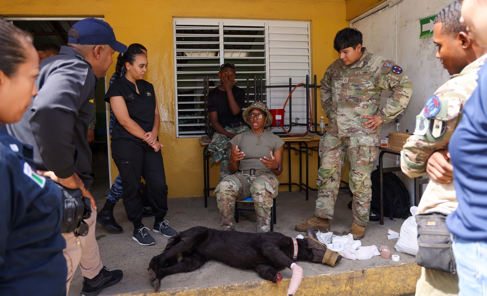 CP25 Puerto Plata K9 TCCC