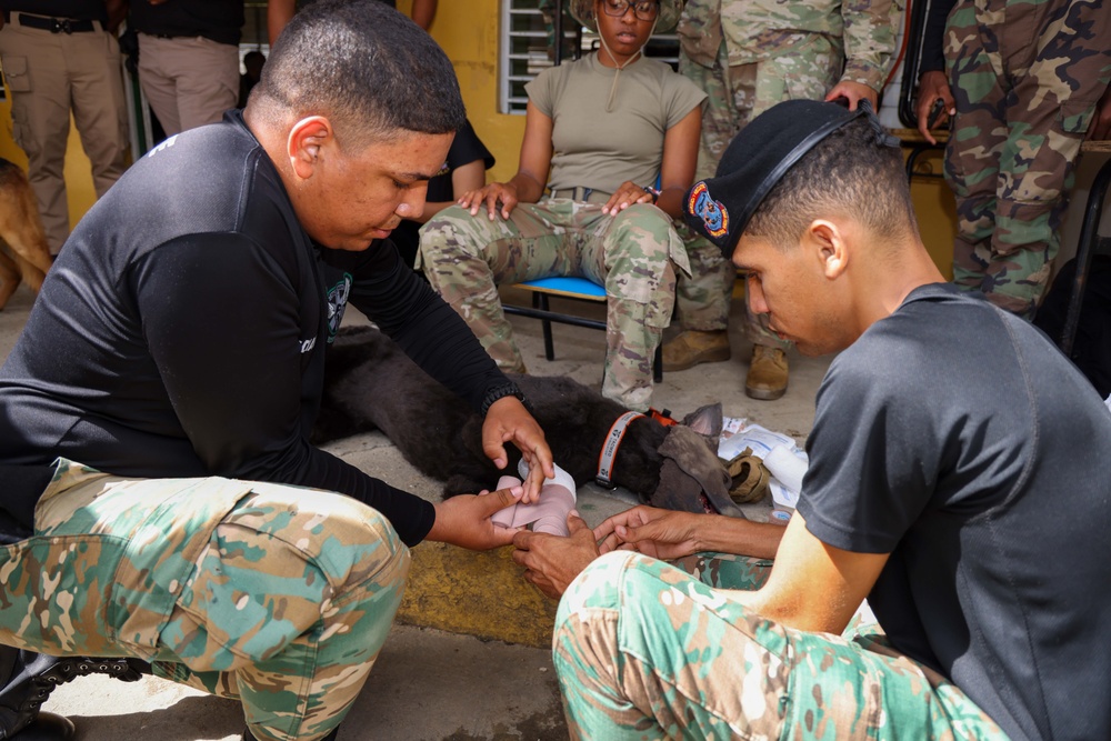 CP25 Puerto Plata K9 TCCC