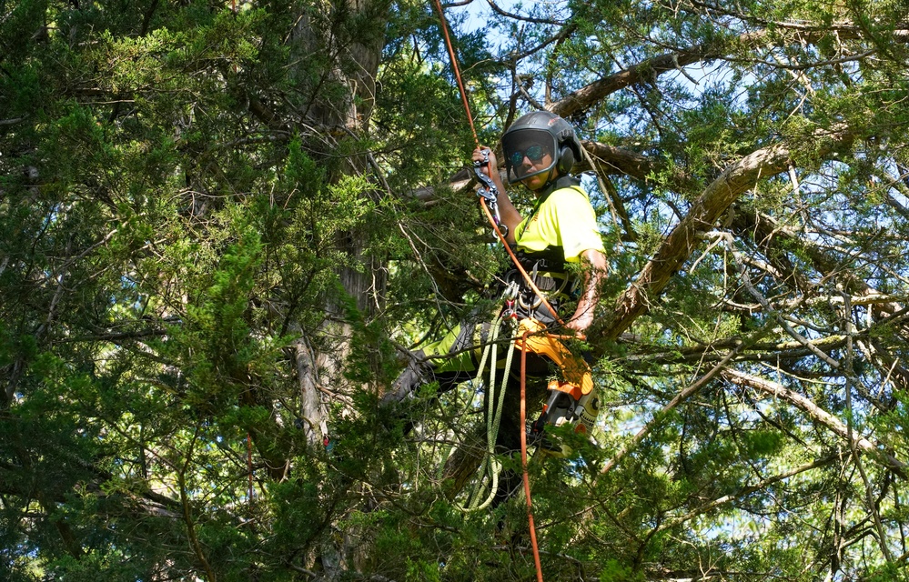 Private property debris recovery restarted in Polk County
