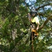 Private property debris recovery restarted in Polk County
