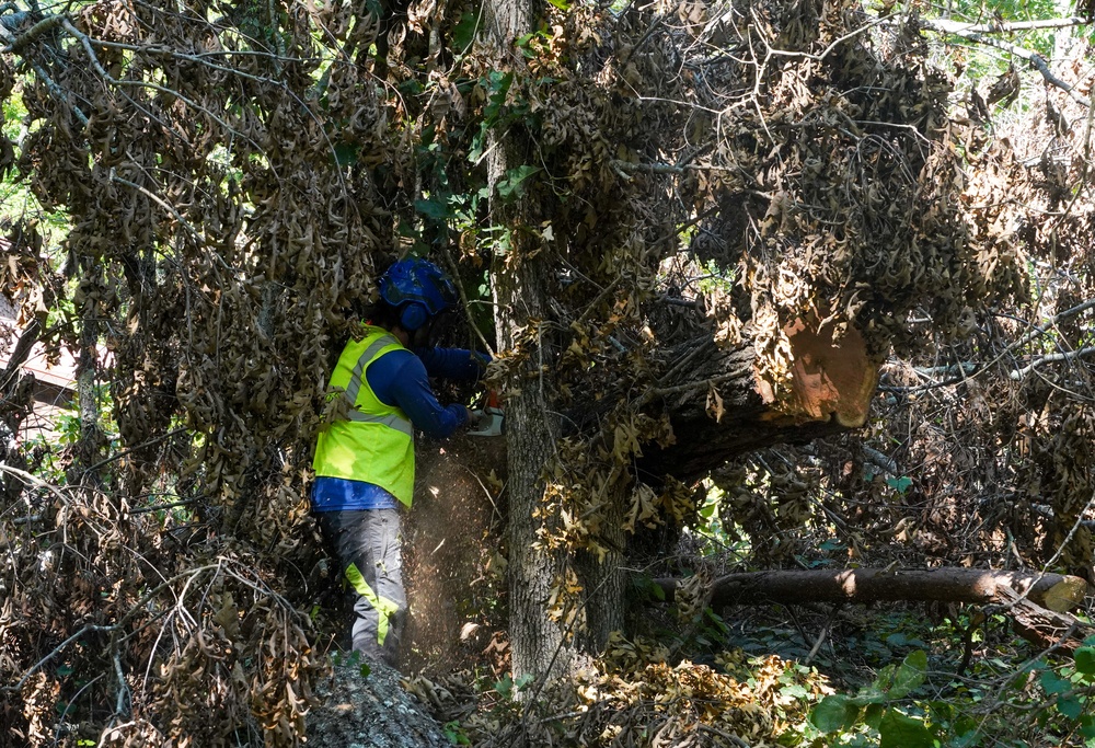 Private property debris recovery restarted in Polk County