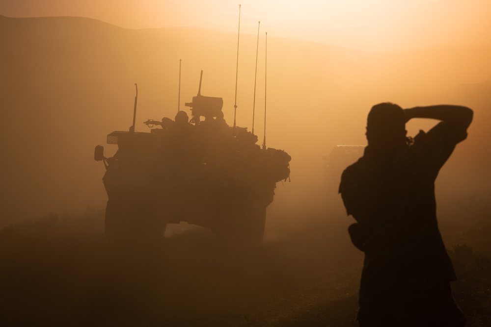 81st Stryker Brigade Annual Training Range Operations