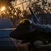 199th Air Expeditionary Squadron conducts operations during TS25
