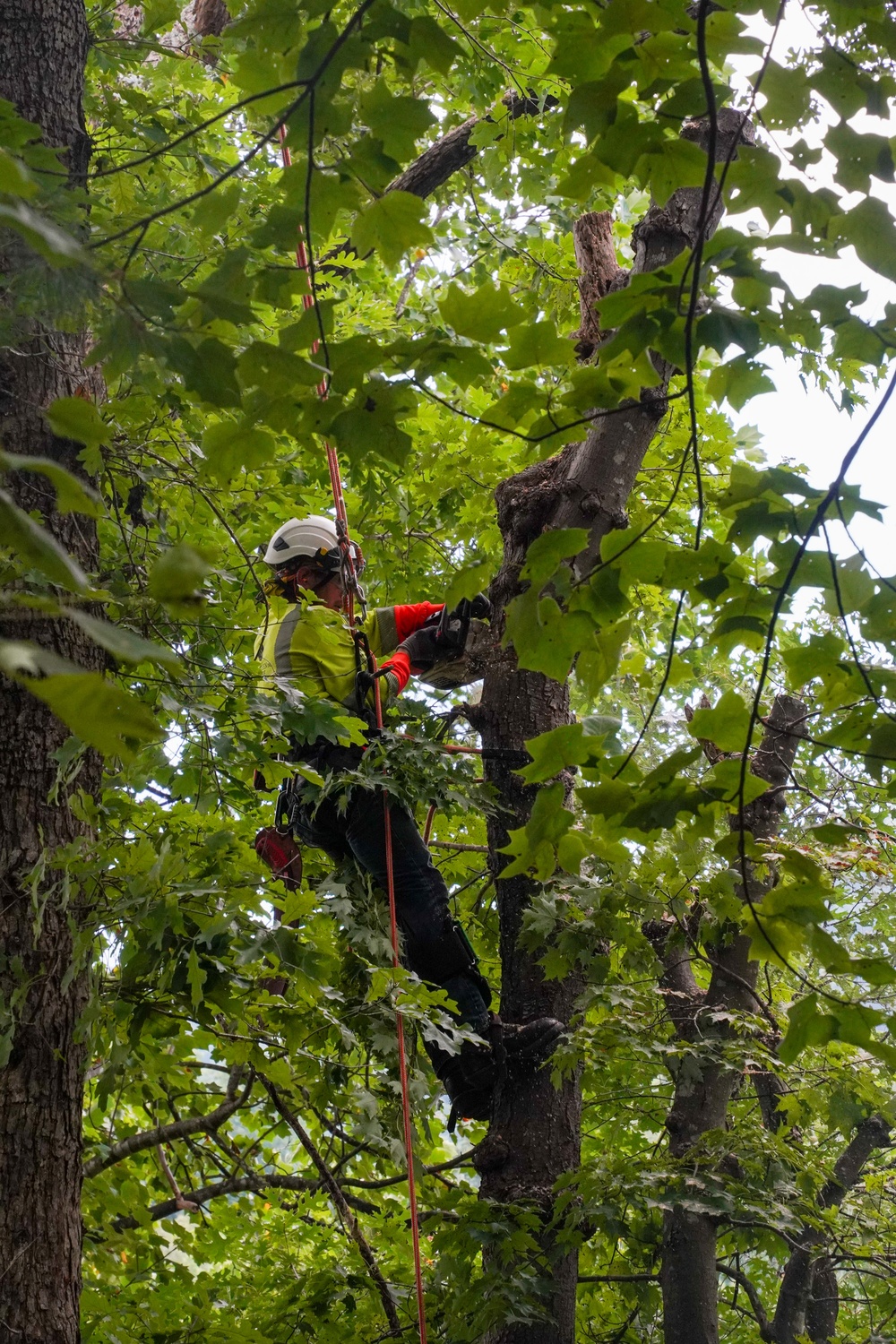 Private Property Debris Removal begins in Rutherford County, North Carolina