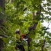 Private Property Debris Removal begins in Rutherford County, North Carolina