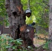 Private Property Debris Removal begins in Rutherford County, North Carolina