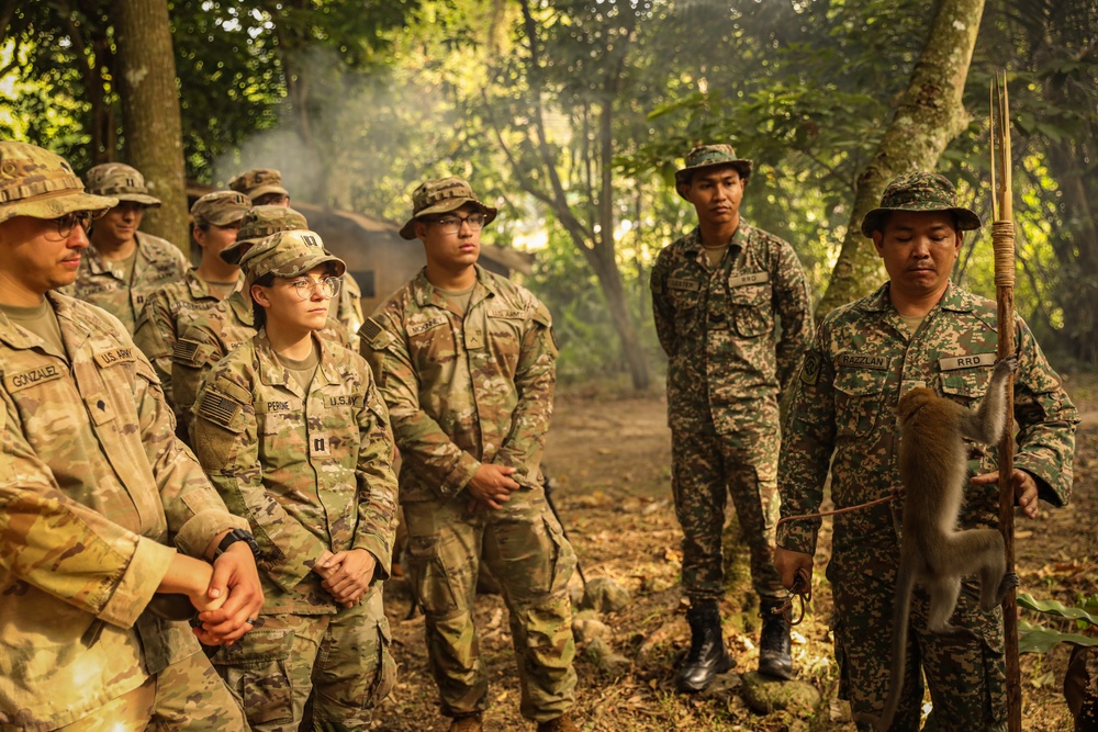 Survival in the Tropics: Malaysian Army Shares Essential Jungle Training with U.S. and Australian Soldiers