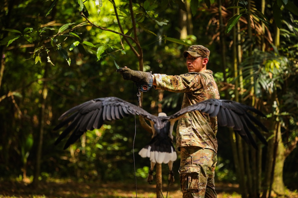 Survival in the Tropics: Malaysian Army Shares Essential Jungle Training with U.S. and Australian Soldiers