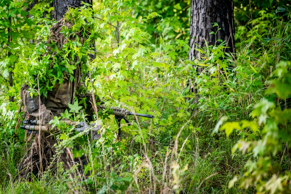 2025 07 18 Sniper Course Stalk Training