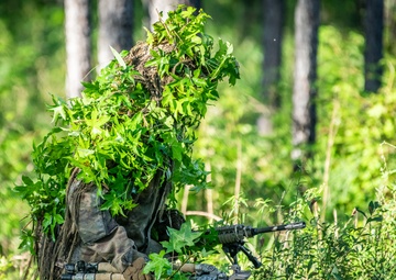 2025 07 18 Sniper Course Stalk Training