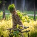 2025 07 18 Sniper Course Stalk Training