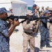 Native Fury 25: Combat Marksmanship training