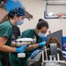Operation Healthy Tennessee Medical Services