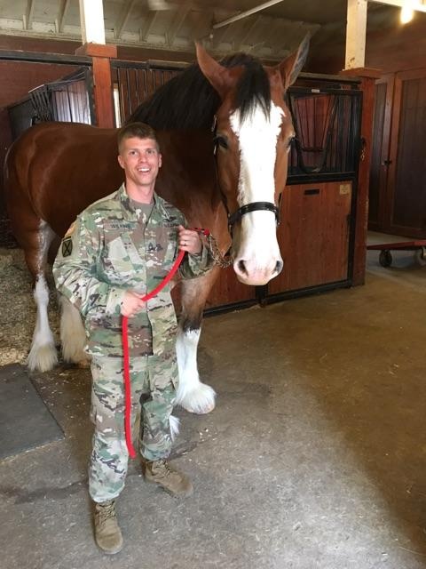 CSM Wilkins with Army Horse
