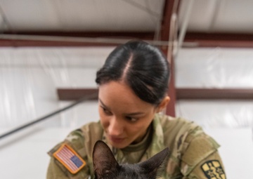 Operation Healthy Tennessee: Where Readiness Meets Relief